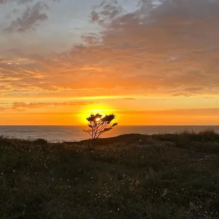 Hébergement de vacances Terredesel Oleron *
